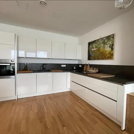 Modernes Mit Wunderschonem Rheinblick Apartment