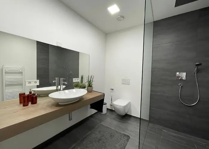 Modernes Mit Wunderschonem Rheinblick דירה